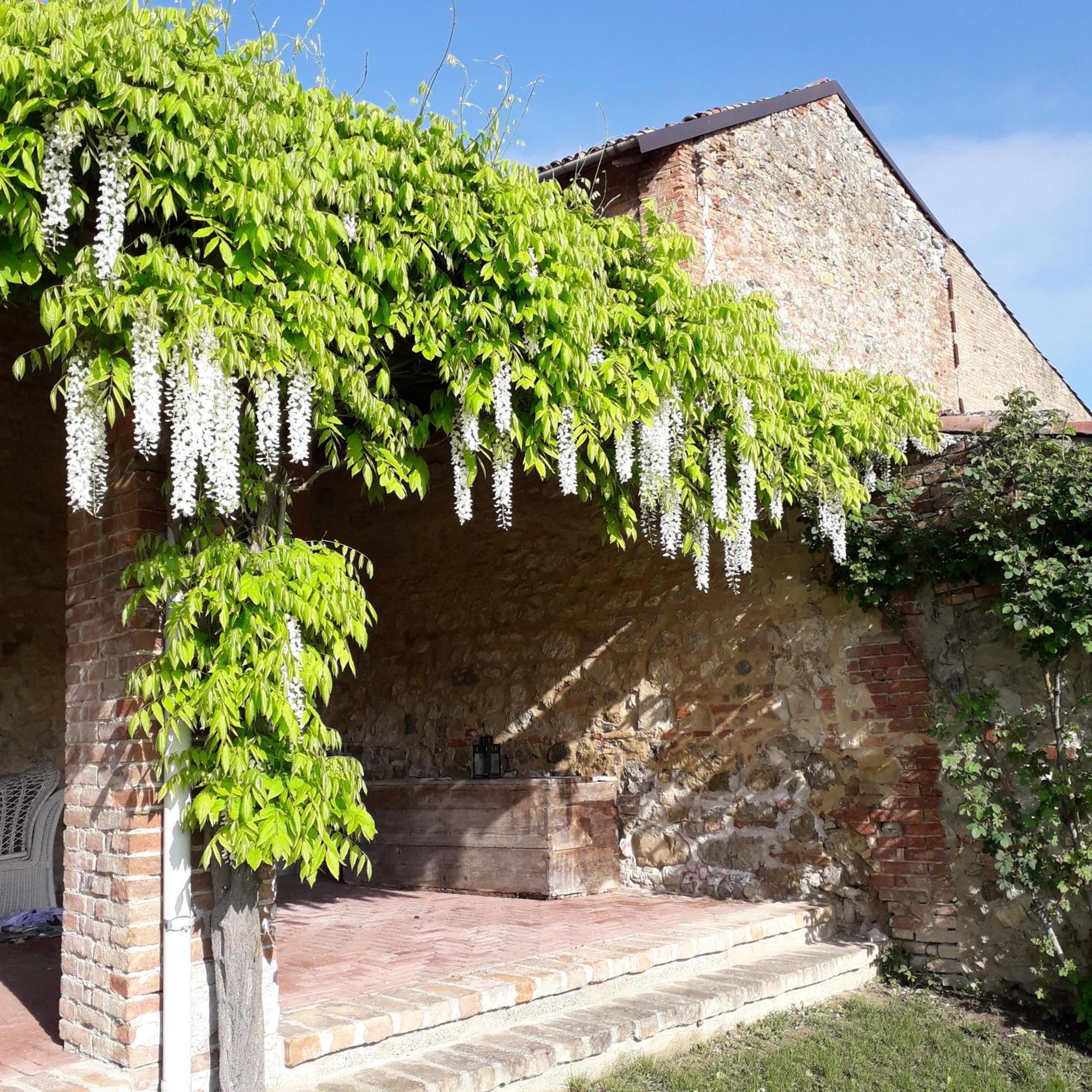 Casa Rovelli Bed & Breakfast Alfiano Natta Bagian luar foto
